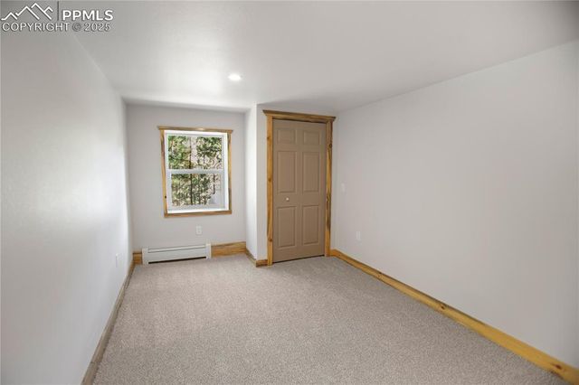 117 Rabbil Creek Trail, Florissant, CO 80816