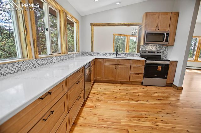 117 Rabbil Creek Trail, Florissant, CO 80816