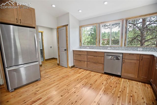 117 Rabbil Creek Trail, Florissant, CO 80816