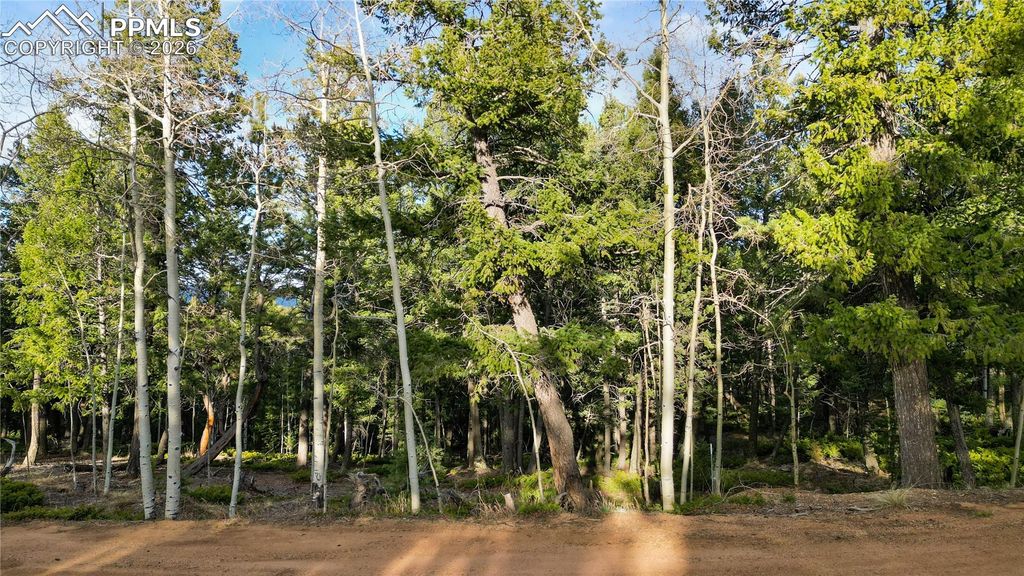 68 Yale Place, Woodland Park, CO 80863 — exterior