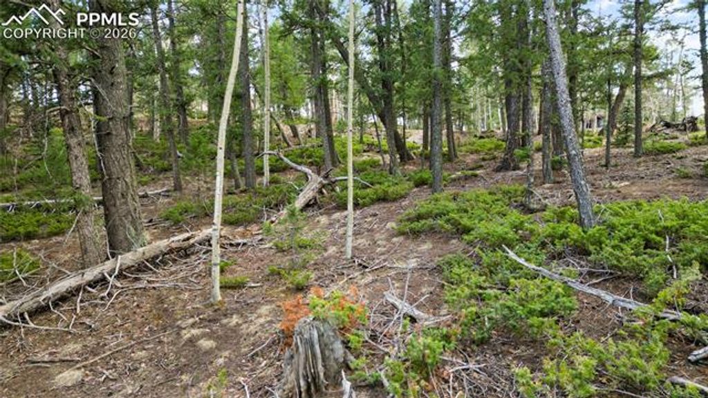 68 Yale Place, Woodland Park, CO 80863 — photo 4
