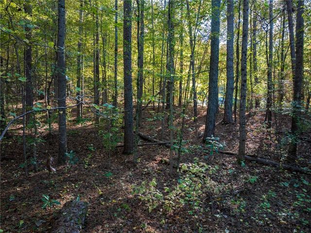 7427 Asbury Drive, Lithonia, GA 30058