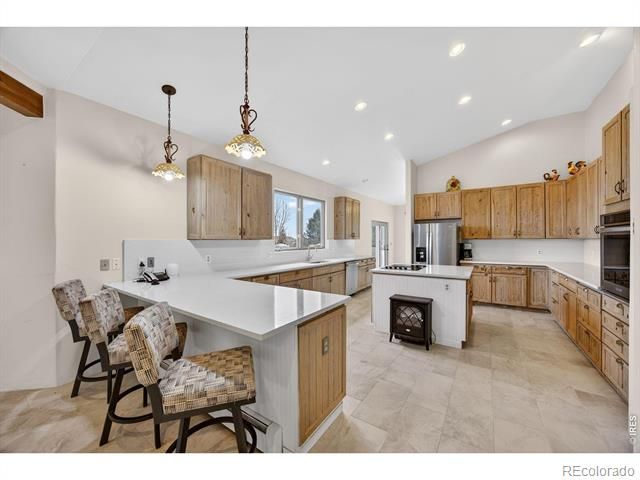 12291 S Critchell Lane, Littleton, CO 80127