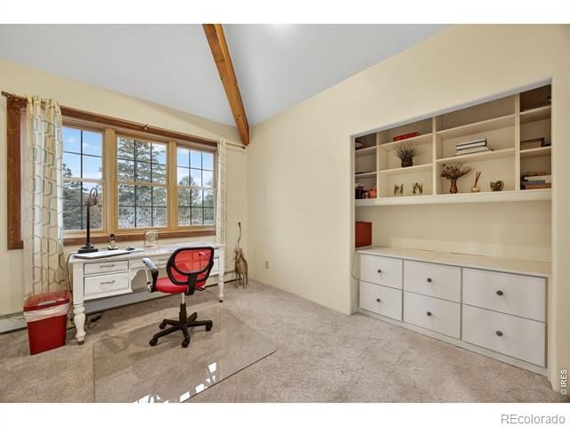 12291 S Critchell Lane, Littleton, CO 80127
