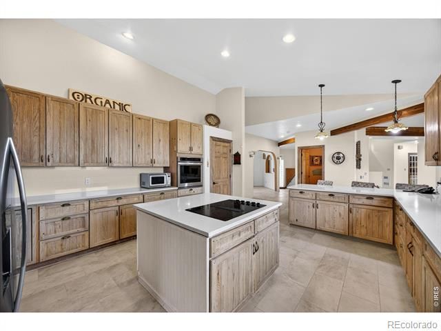 12291 S Critchell Lane, Littleton, CO 80127