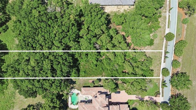 17119 ETRUSCAN LANE, Montverde, FL 34756