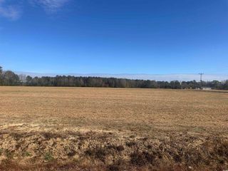 SE Elvington Rd., Nichols, SC 29581