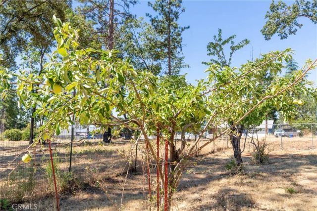 1690 Connell Lane, Paradise, CA 95969