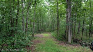 0 Route 32, Cairo, NY 12405