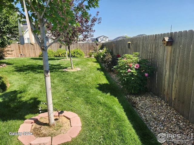 1410 S Sunfield Drive, Milliken, CO 80543