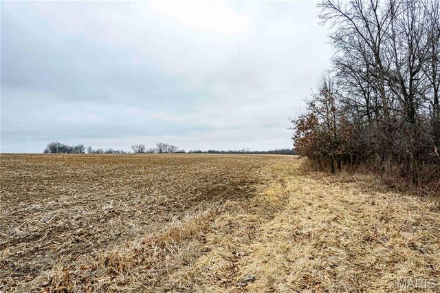 60 Ac County Road 277, Kahoka, MO 63445