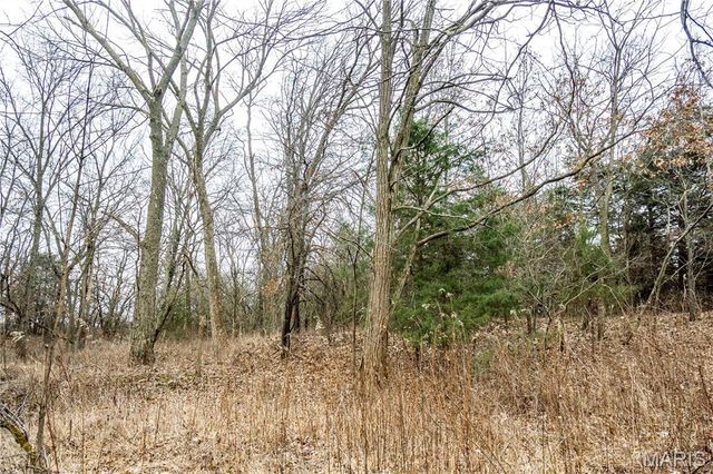 60 Ac County Road 277, Kahoka, MO 63445