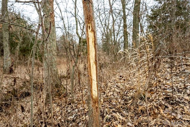 60 Ac County Road 277, Kahoka, MO 63445