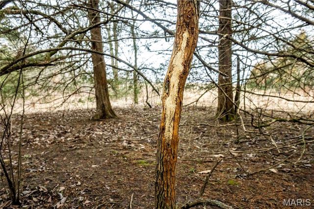 60 Ac County Road 277, Kahoka, MO 63445