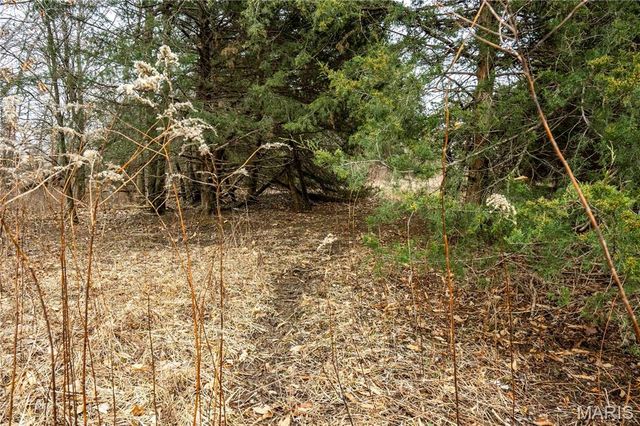 60 Ac County Road 277, Kahoka, MO 63445