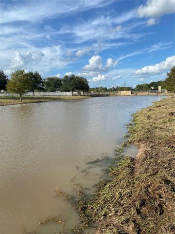 32007 Meadow View Lane, Waller, TX 77484