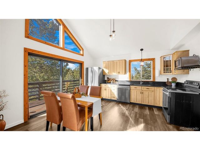 104 Mt Elbert Dr, Florissant, CO 80816