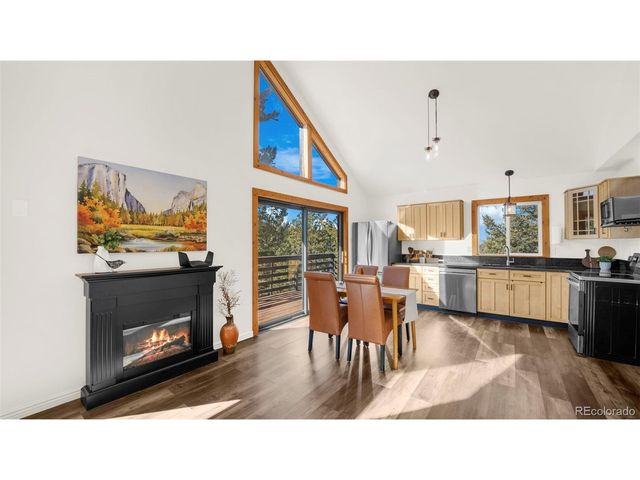 104 Mt Elbert Dr, Florissant, CO 80816