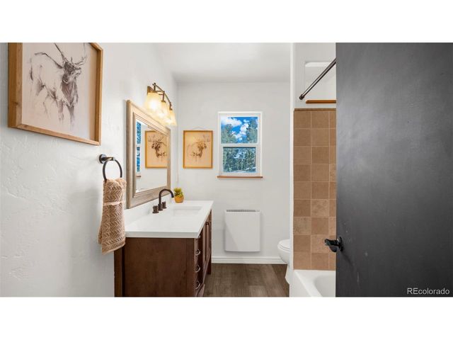 104 Mt Elbert Dr, Florissant, CO 80816