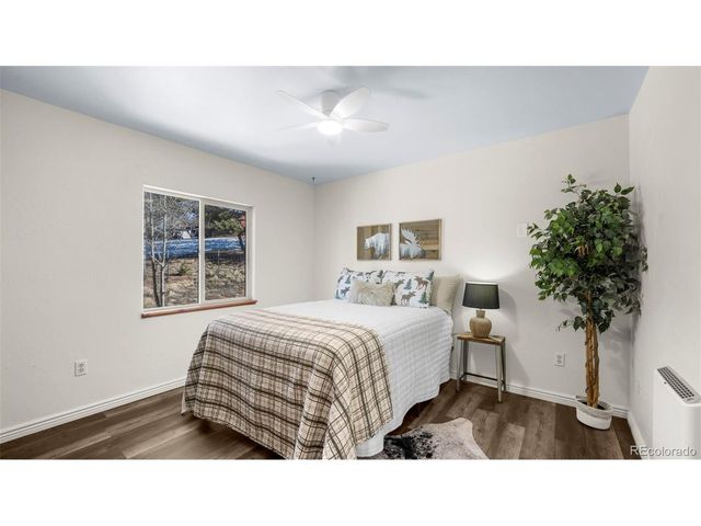 104 Mt Elbert Dr, Florissant, CO 80816