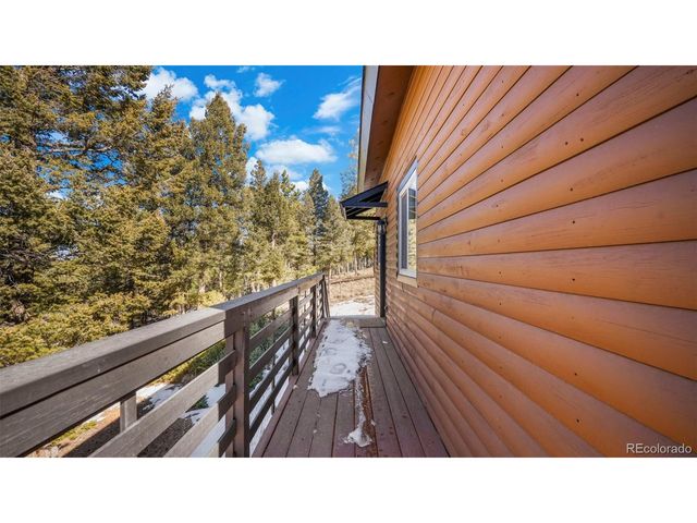 104 Mt Elbert Dr, Florissant, CO 80816