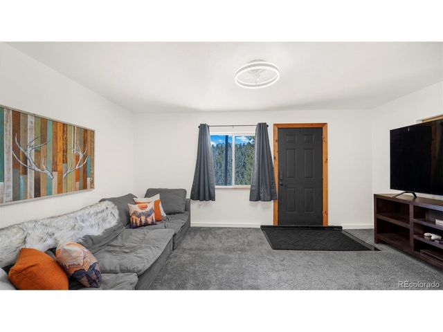 104 Mt Elbert Dr, Florissant, CO 80816