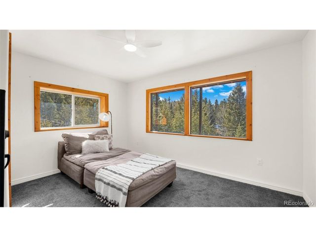 104 Mt Elbert Dr, Florissant, CO 80816