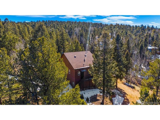 104 Mt Elbert Dr, Florissant, CO 80816