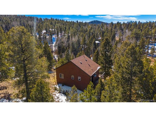 104 Mt Elbert Dr, Florissant, CO 80816
