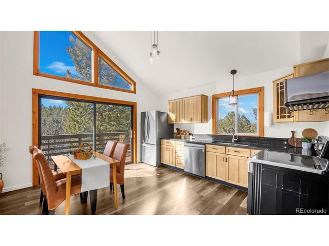 104 Mt Elbert Dr, Florissant, CO 80816