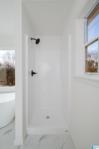 699 OLDE TOWNE CIRCLE, Alabaster, AL 35007