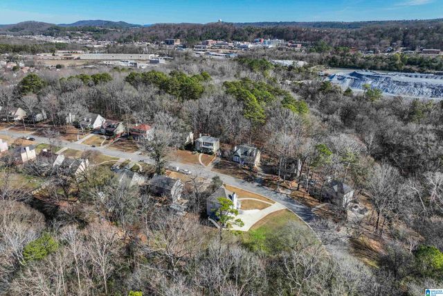 699 OLDE TOWNE CIRCLE, Alabaster, AL 35007