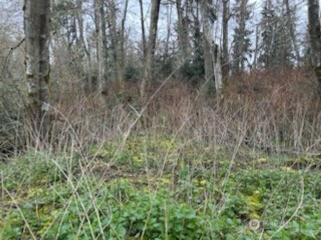 0 Ewing, Clinton, WA 98236