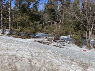 Honor Highway, Interlochen, MI 49643