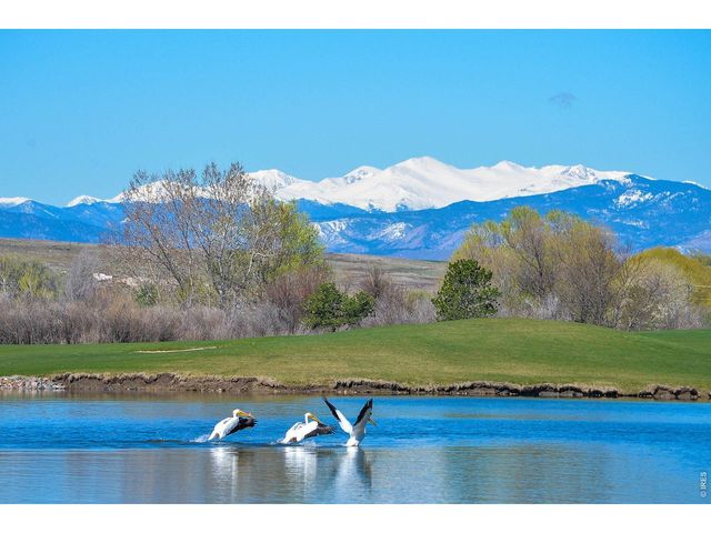 2178 Cape Hatteras Dr 24-6, Windsor, CO 80550