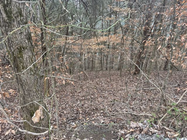 0 Lakeside Dr, Smithville, TN 37166