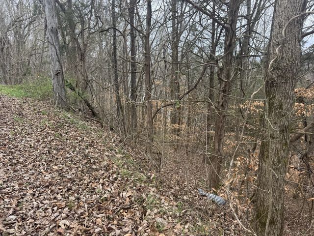 0 Lakeside Dr, Smithville, TN 37166