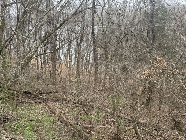 0 Lakeside Dr, Smithville, TN 37166