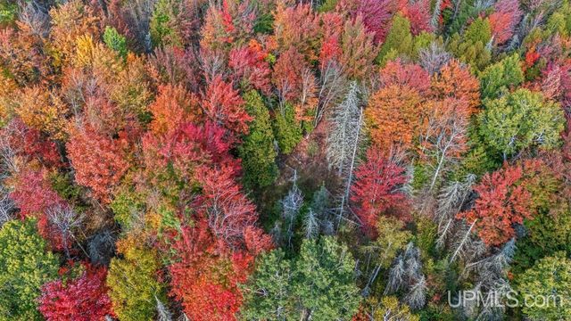 4296 Cedar 36th Lane, Rock, MI 49880