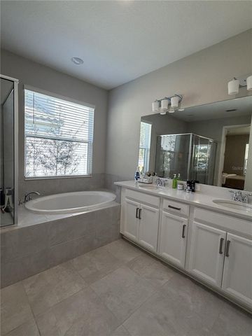 3818 ROSE MALLOW DRIVE, Kissimmee, FL 34746