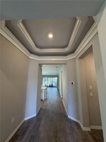 3818 ROSE MALLOW DRIVE, Kissimmee, FL 34746