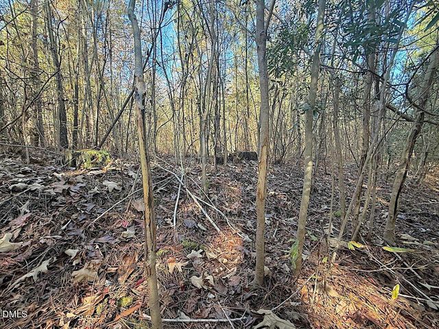 0 T Tarpey Lane, Sanford, NC 27330