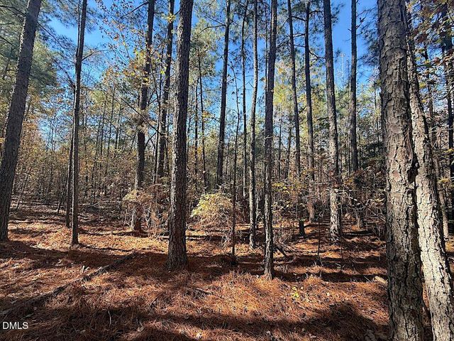 0 T Tarpey Lane, Sanford, NC 27330