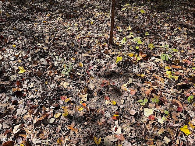 0 T Tarpey Lane, Sanford, NC 27330