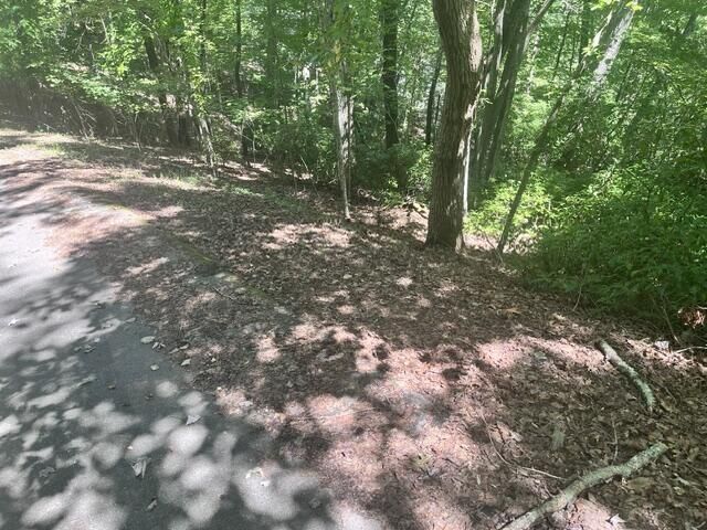 16 S Dogwood, Hayesville, NC 28904