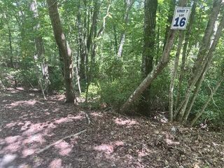 16 S Dogwood, Hayesville, NC 28904