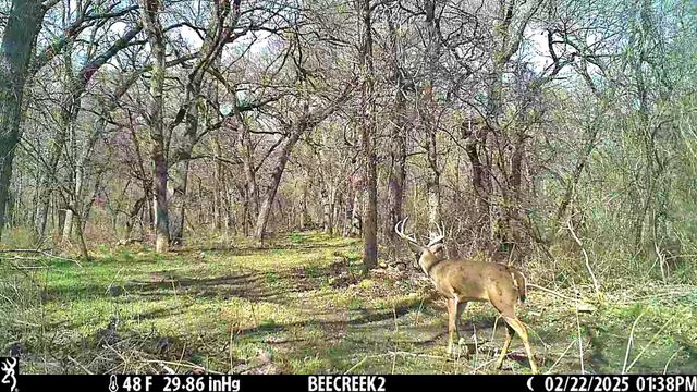 000 Bee Creek Road, Grandview, TX 76050