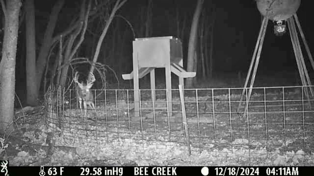 000 Bee Creek Road, Grandview, TX 76050