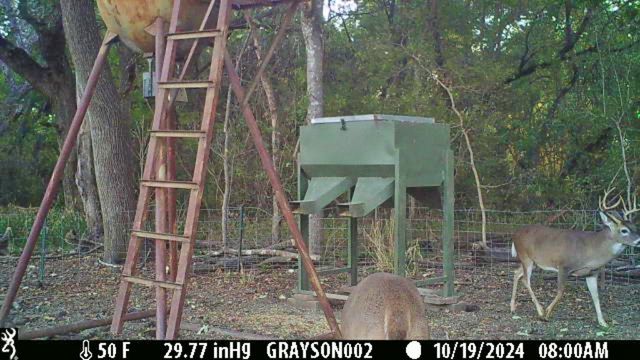 000 Bee Creek Road, Grandview, TX 76050