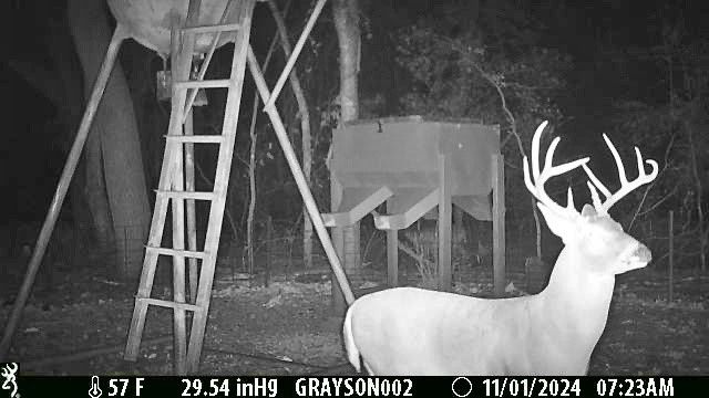 000 Bee Creek Road, Grandview, TX 76050